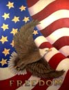 freedom eagle flag
